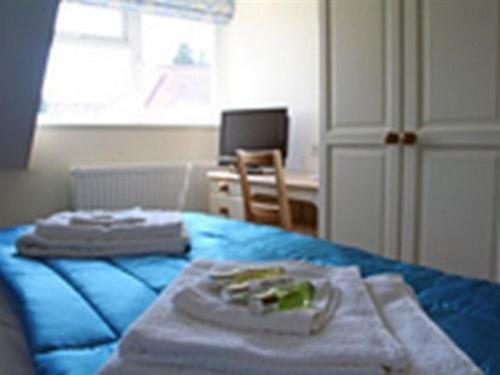 Frome Dale Wool Quarto foto